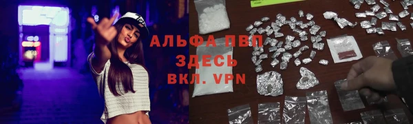 крисы Сатка