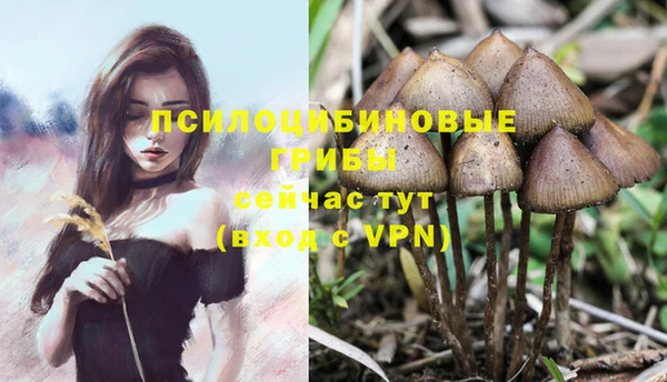 spice Медногорск