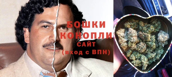 spice Медногорск