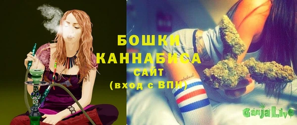 spice Медногорск