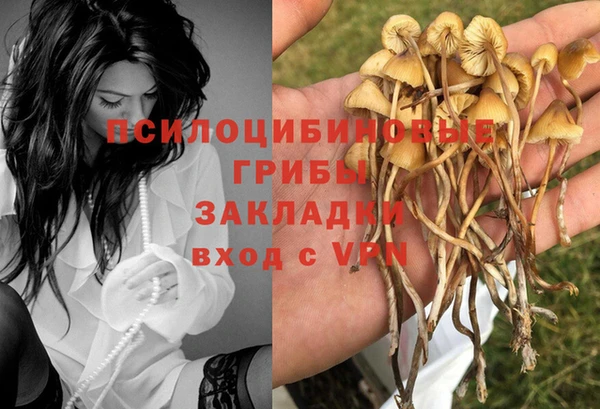дживик Богданович