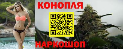 прущие грибы Будённовск