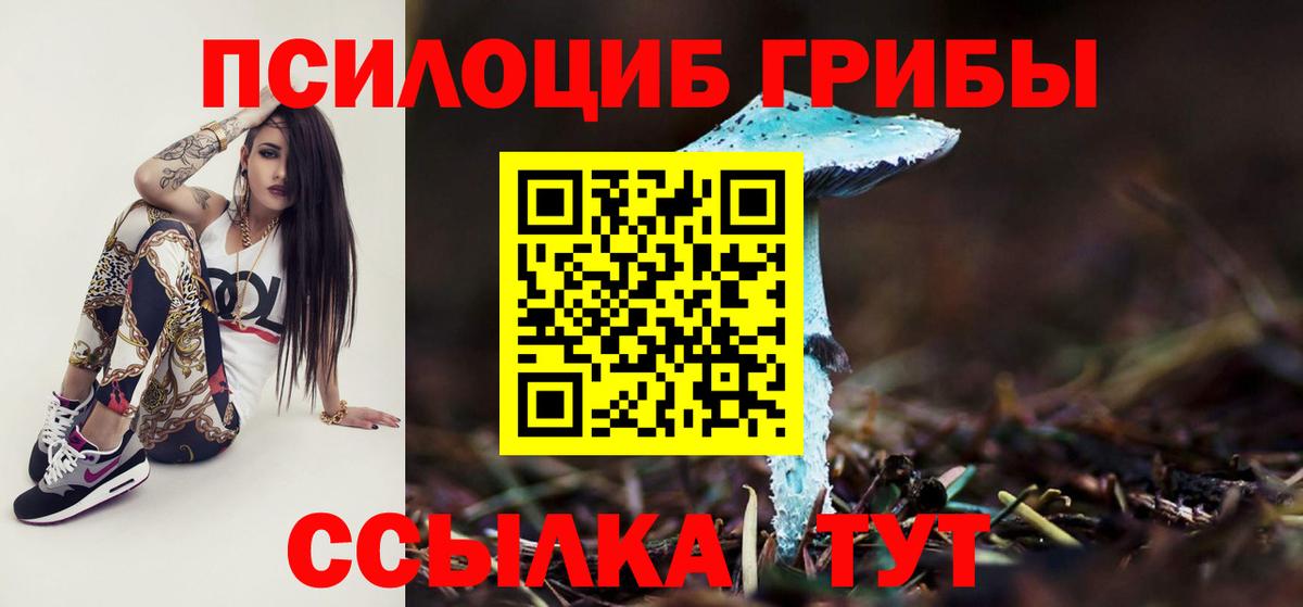 как найти наркотики  Воткинск  Псилоцибиновые грибы MAGIC MUSHROOMS 