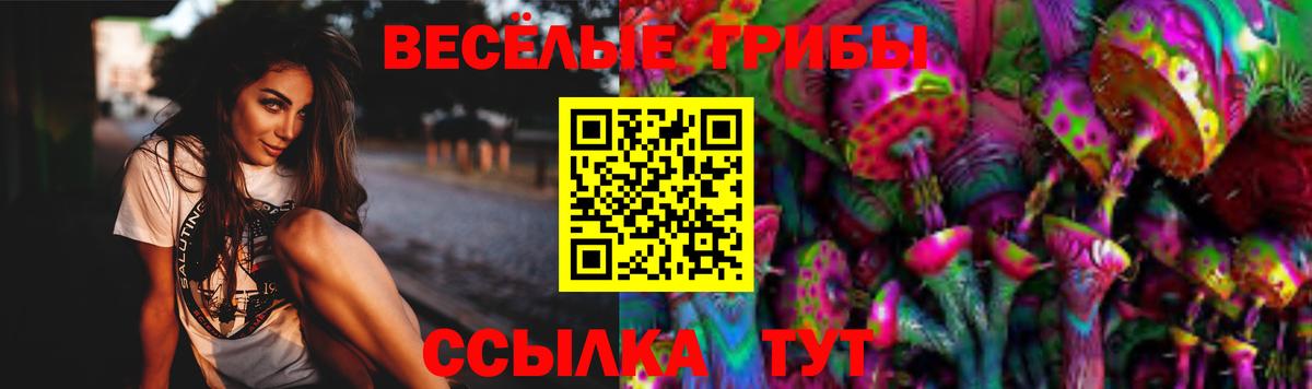 Галлюциногенные грибы GOLDEN TEACHER Воткинск